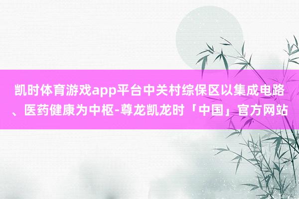 凯时体育游戏app平台中关村综保区以集成电路、医药健康为中枢-尊龙凯龙时「中国」官方网站
