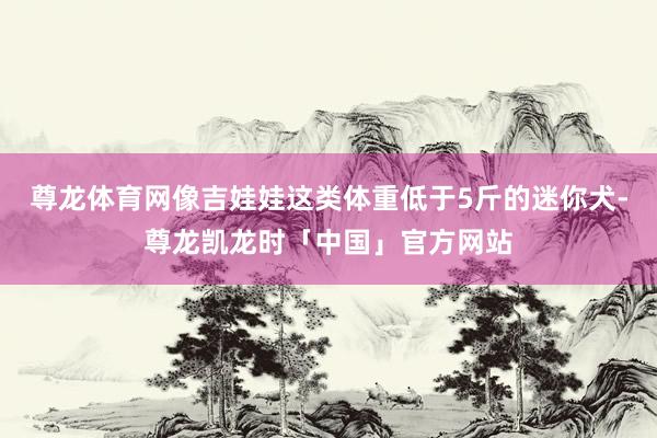 尊龙体育网像吉娃娃这类体重低于5斤的迷你犬-尊龙凯龙时「中国」官方网站