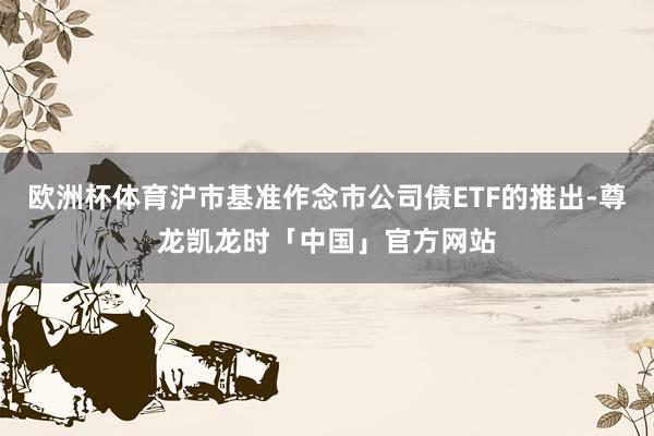 欧洲杯体育沪市基准作念市公司债ETF的推出-尊龙凯龙时「中国」官方网站