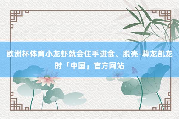欧洲杯体育小龙虾就会住手进食、脱壳-尊龙凯龙时「中国」官方网站