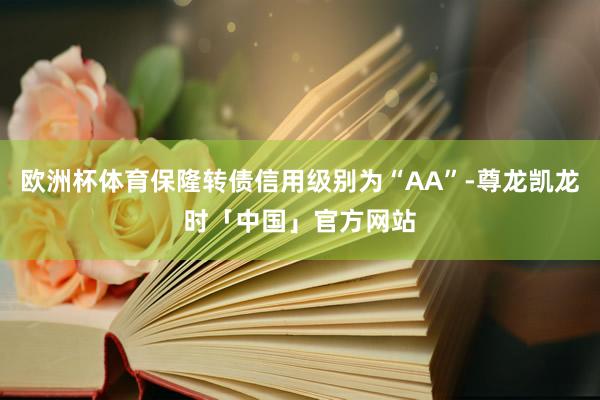 欧洲杯体育保隆转债信用级别为“AA”-尊龙凯龙时「中国」官方网站