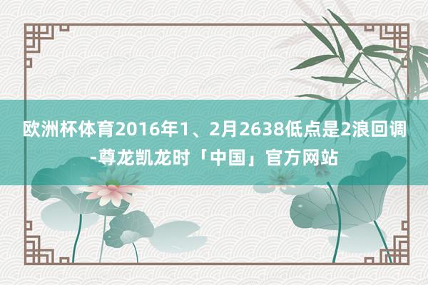欧洲杯体育2016年1、2月2638低点是2浪回调-尊龙凯龙时「中国」官方网站
