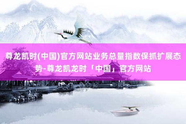 尊龙凯时(中国)官方网站业务总量指数保抓扩展态势-尊龙凯龙时「中国」官方网站