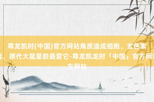 尊龙凯时(中国)官方网站角质造成细胞、玄色素瘤、原代大鼠星胶最爱它-尊龙凯龙时「中国」官方网站