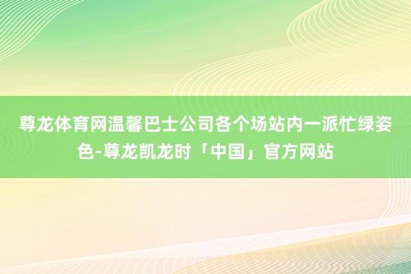 尊龙体育网　　温馨巴士公司各个场站内一派忙绿姿色-尊龙凯龙时「中国」官方网站