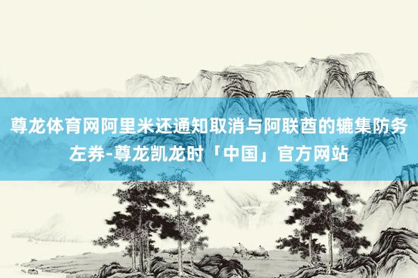 尊龙体育网阿里米还通知取消与阿联酋的辘集防务左券-尊龙凯龙时「中国」官方网站
